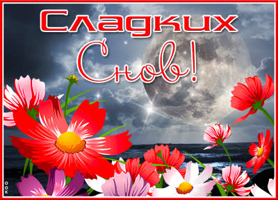 Picture очаровательная открытка сладких снов