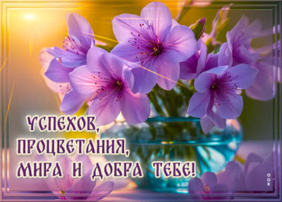 Picture очаровательная открытка успехов, процветания, мира и добра тебе