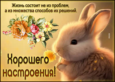 Postcard очаровательная открытка хорошего настроения