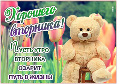 Postcard очаровательная открытка хорошего вторника