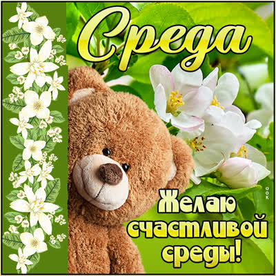 Postcard очаровательная открытка желаю счастливой среды