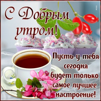 Картинка очаровательная картинка доброе утро