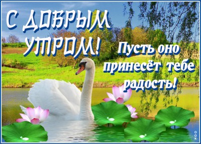Открытка очаровательная картинка доброе утро