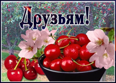 Картинка очаровательная картинка друзьям