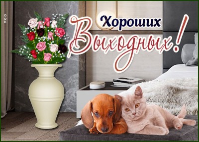Картинка очаровательная открытка хороших выходных