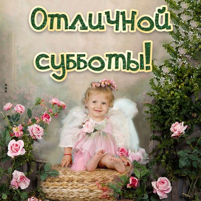 Картинка очаровательная открытка с субботой