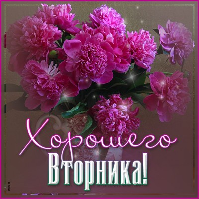 Картинка очаровательная открытка вторник