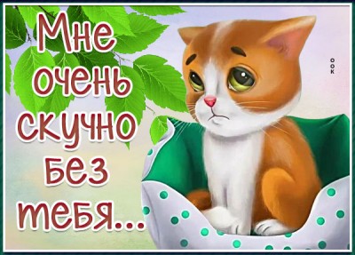 Открытка очень милая открытка скучаю
