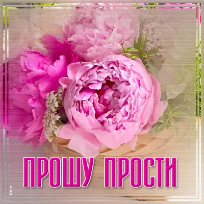 Открытка очень нежная картинка прости