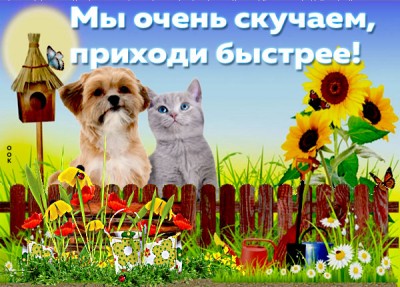 Картинка очень сильно по вас скучаю