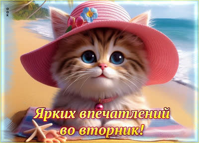 Picture оптимистичная картинка ярких впечатлений во вторник