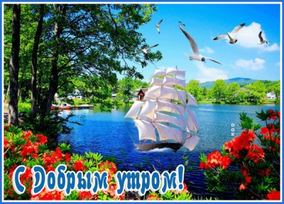 Открытка оригинальная картинка доброе утро