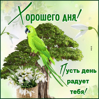 Открытка оригинальная картинка хорошего дня
