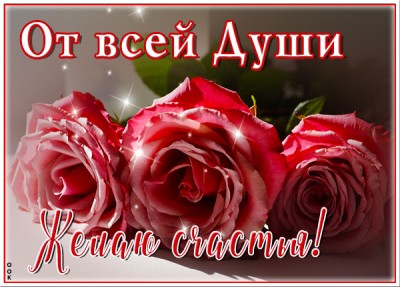 Картинка оригинальная открытка с цветами