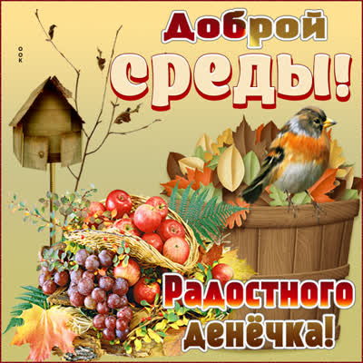 Postcard осенняя картинка со средой