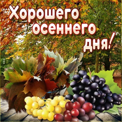 Postcard осенняя картинка хорошего дня