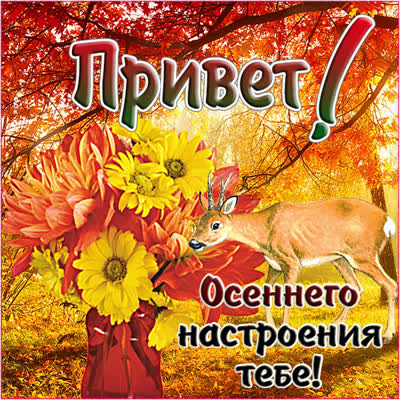 Picture осенняя открытка привет