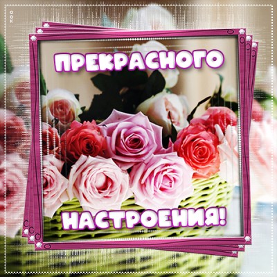 Открытка особенная  картинка прекрасного настроения