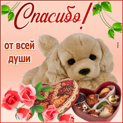 Картинка особенная открытка спасибо