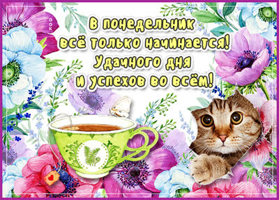 Postcard откртыка милого понедельника