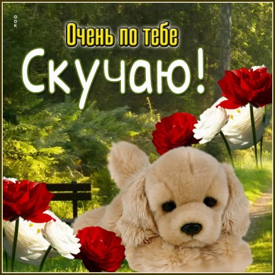 Картинка открытка безумно скучаю