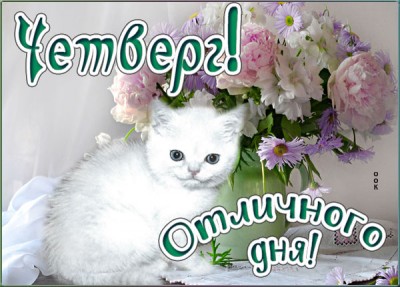 Картинка открытка четверг с котенком