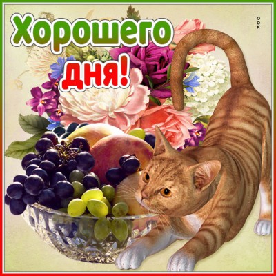 Открытка открытка чудесного дня