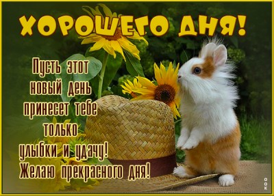 Картинка открытка чудесного летнего дня