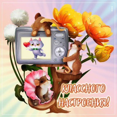 Картинка открытка чудесного настроения