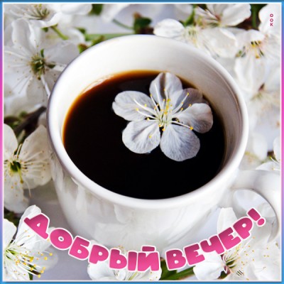 Открытка открытка чудесного вечера