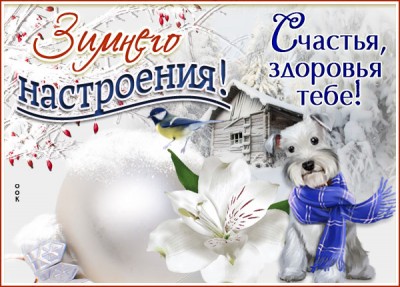 Открытка открытка чудесного зимнего настроения