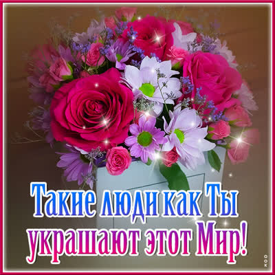 Picture открытка цветы для самой прекрасной
