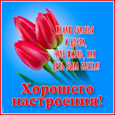 Открытка открытка для настроения с тюльпанами