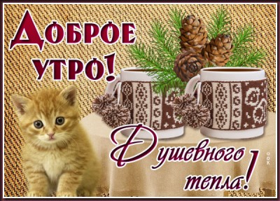 Картинка открытка доброе утро на счастье