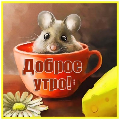 Открытка открытка доброе утро просыпайся