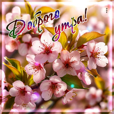 Postcard открытка доброе утро, пусть в сердце будет покой и радость