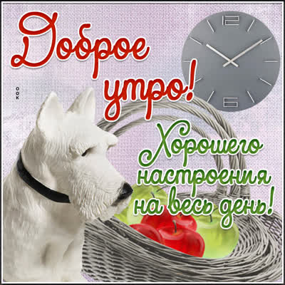 Postcard открытка доброе утро с красивыми словами