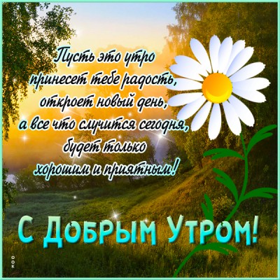 Картинка открытка доброе утро с ромашкой
