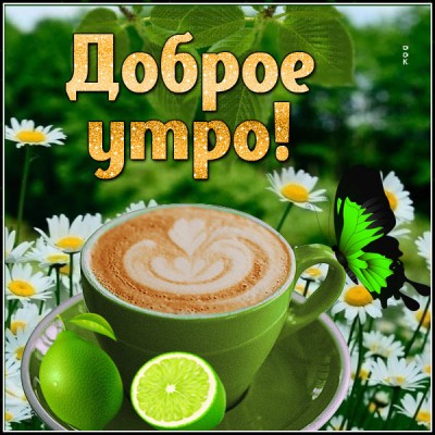 Открытка открытка доброе утро универсальная