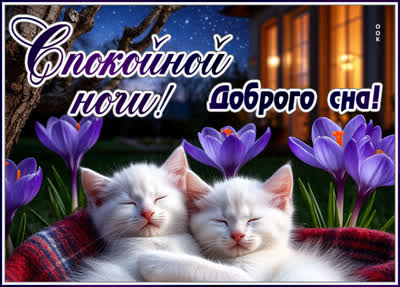 Postcard открытка доброго сна вам