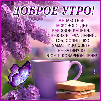 Picture открытка доброго утра и ласкового дня