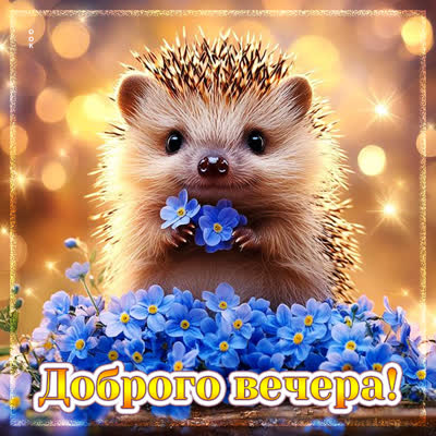 Postcard открытка доброго вечера, пусть он будет ярким