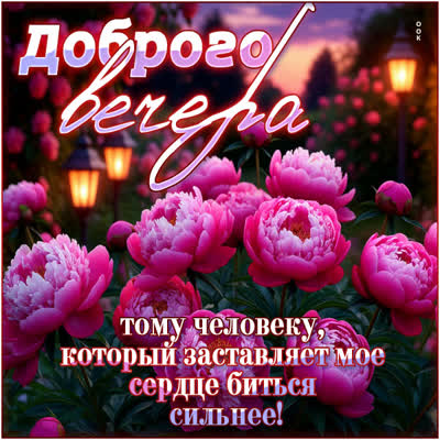 Postcard открытка доброго вечера тому, кто заставляет мое сердце биться сильнее