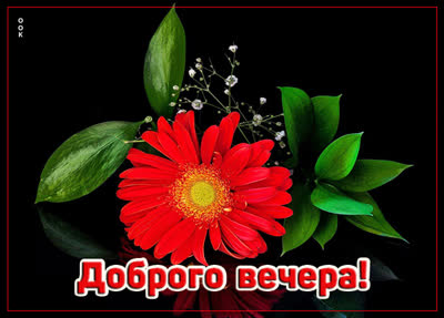 Picture открытка добрый вечер, дорогая