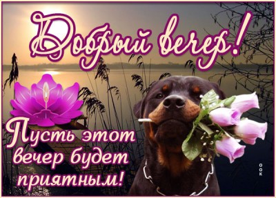 Открытка открытка добрый вечер приятного времяпровождения