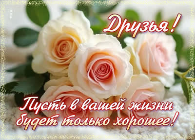 Postcard открытка друзьям с пожеланиями здоровья и удачи