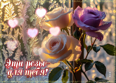 Picture открытка эти морозные розы для тебя