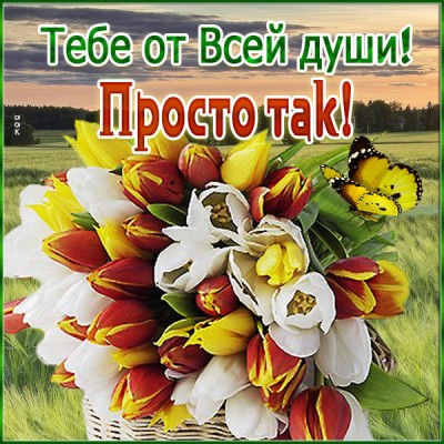 Открытка открытка это тебе букет от меня