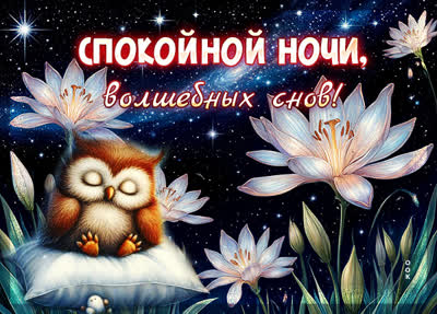 Postcard открытка и пусть ночь будет спокойной, и сны волшебными