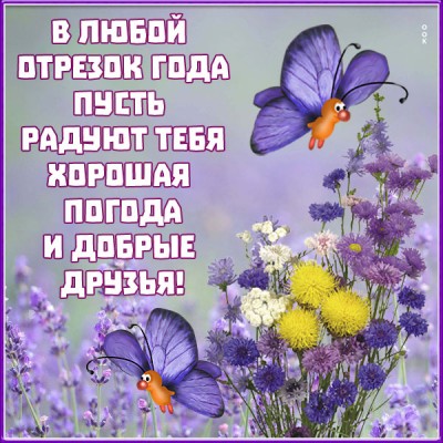 Открытка открытка и пусть всё будет хорошо